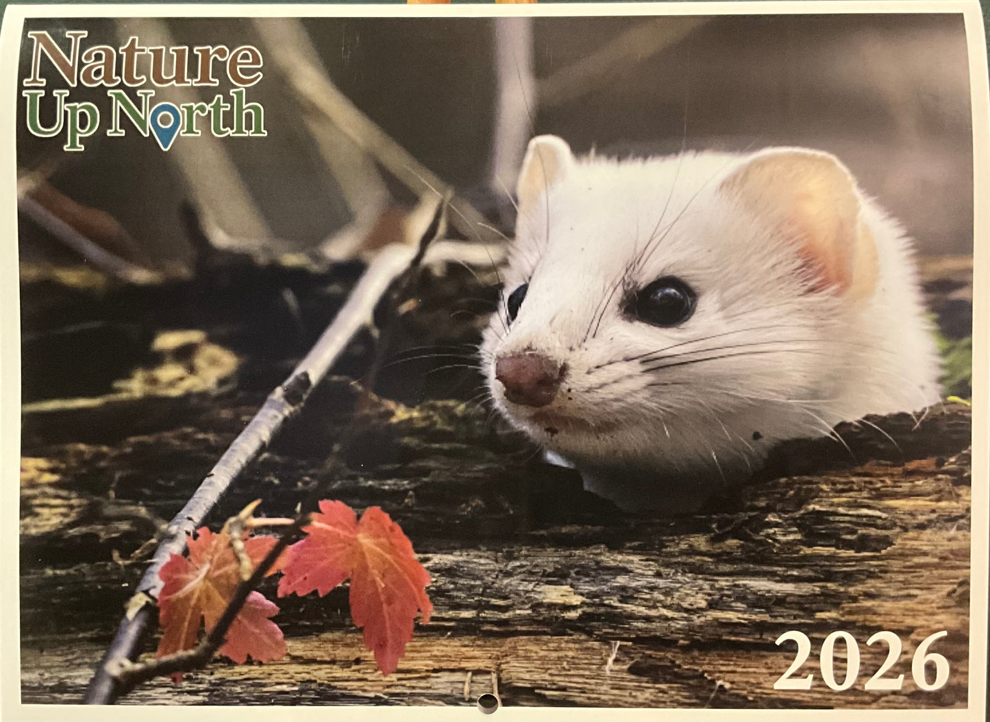 Nature Up North Calendar 2026