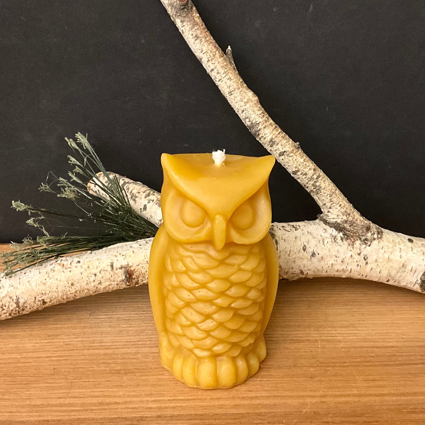 Owl Beeswax Candle