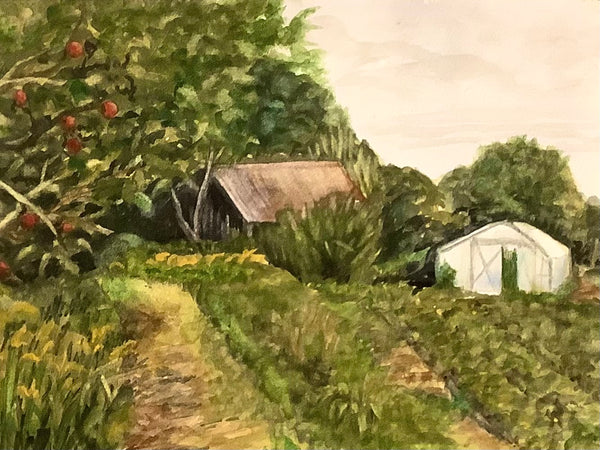 Harvest at Birdsfoot Farm  Framed Watercolor