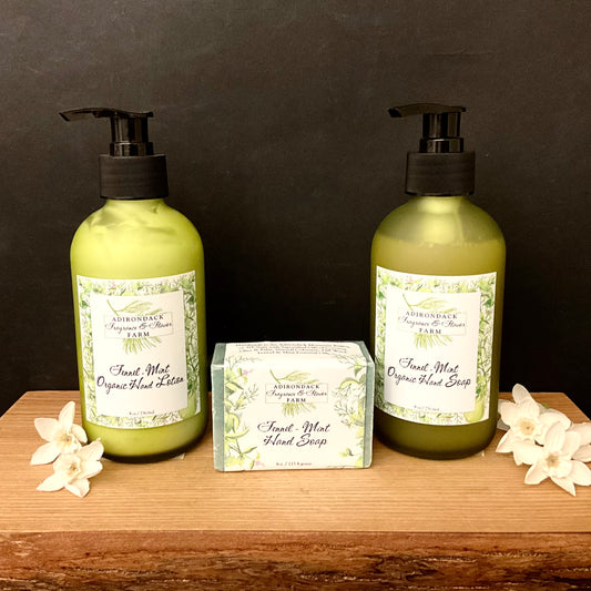 Assorted Fennel Mint Products