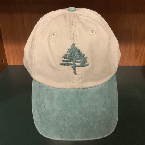 TAUNY Cap Spruce/Stone