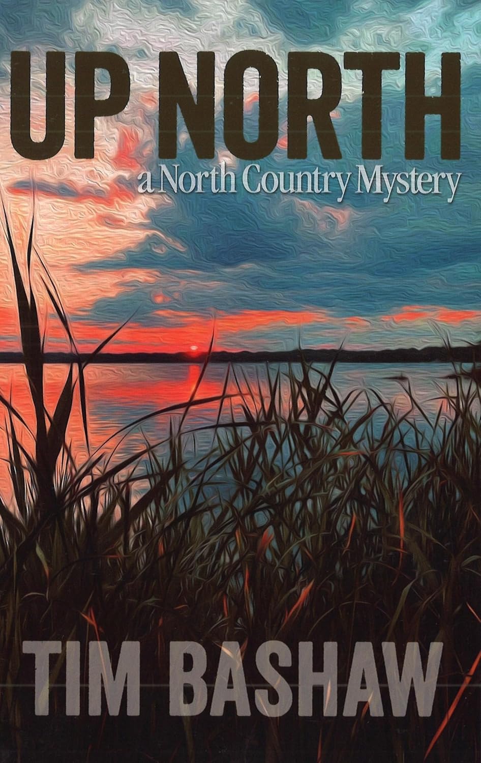 Up North: A North Country Mystery