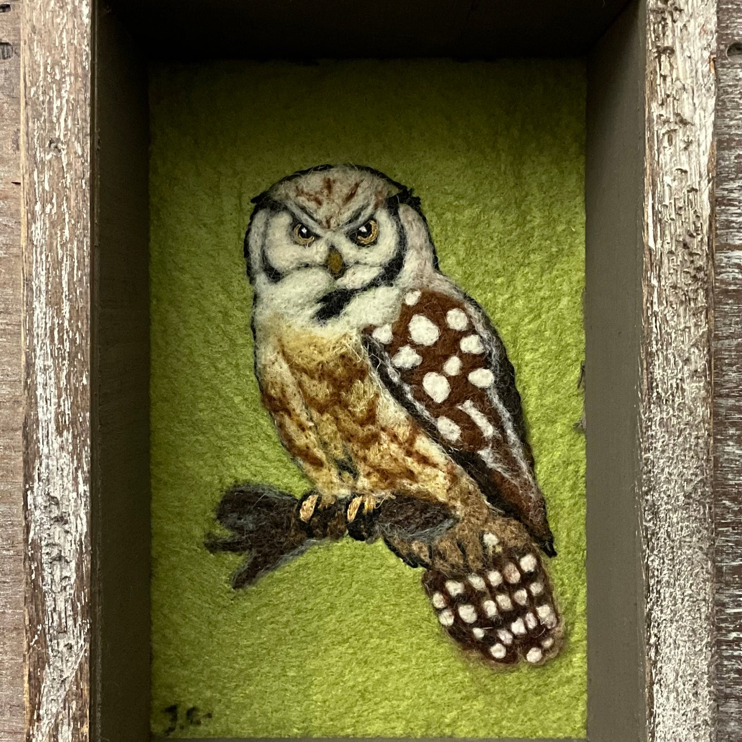 Shadow Box with Embroidered Northern Hawk Owl