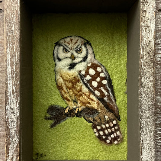 Shadow Box with Embroidered Northern Hawk Owl