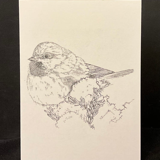 Chickadee Card