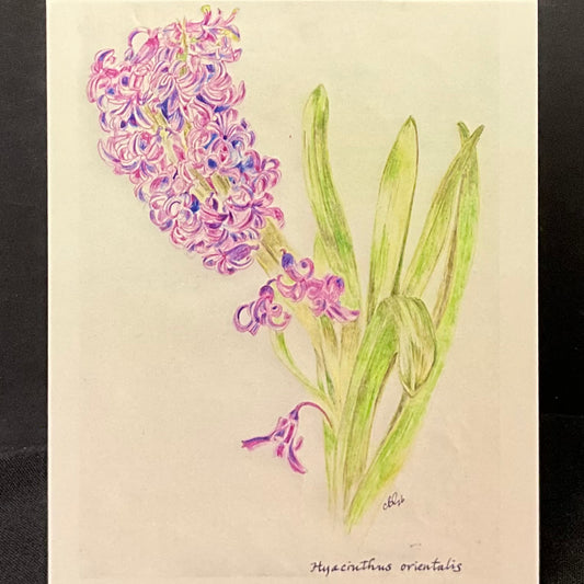 Hyacinth Card