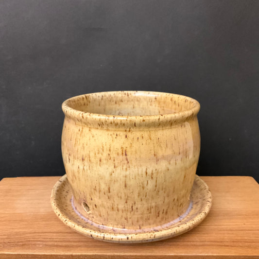 Medium Planter in Gold with Attached Plate