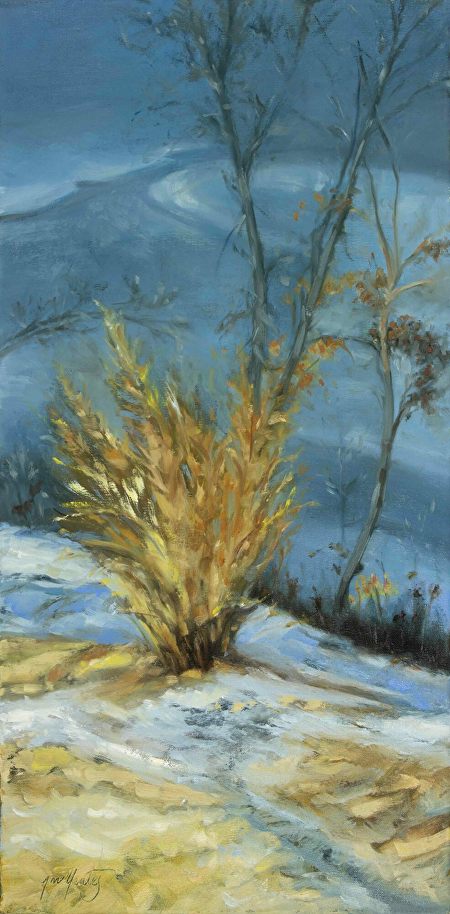 “December Forsythia” Notecard