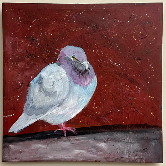 “Puffed Up Pigeon” Original Acrylic Painting