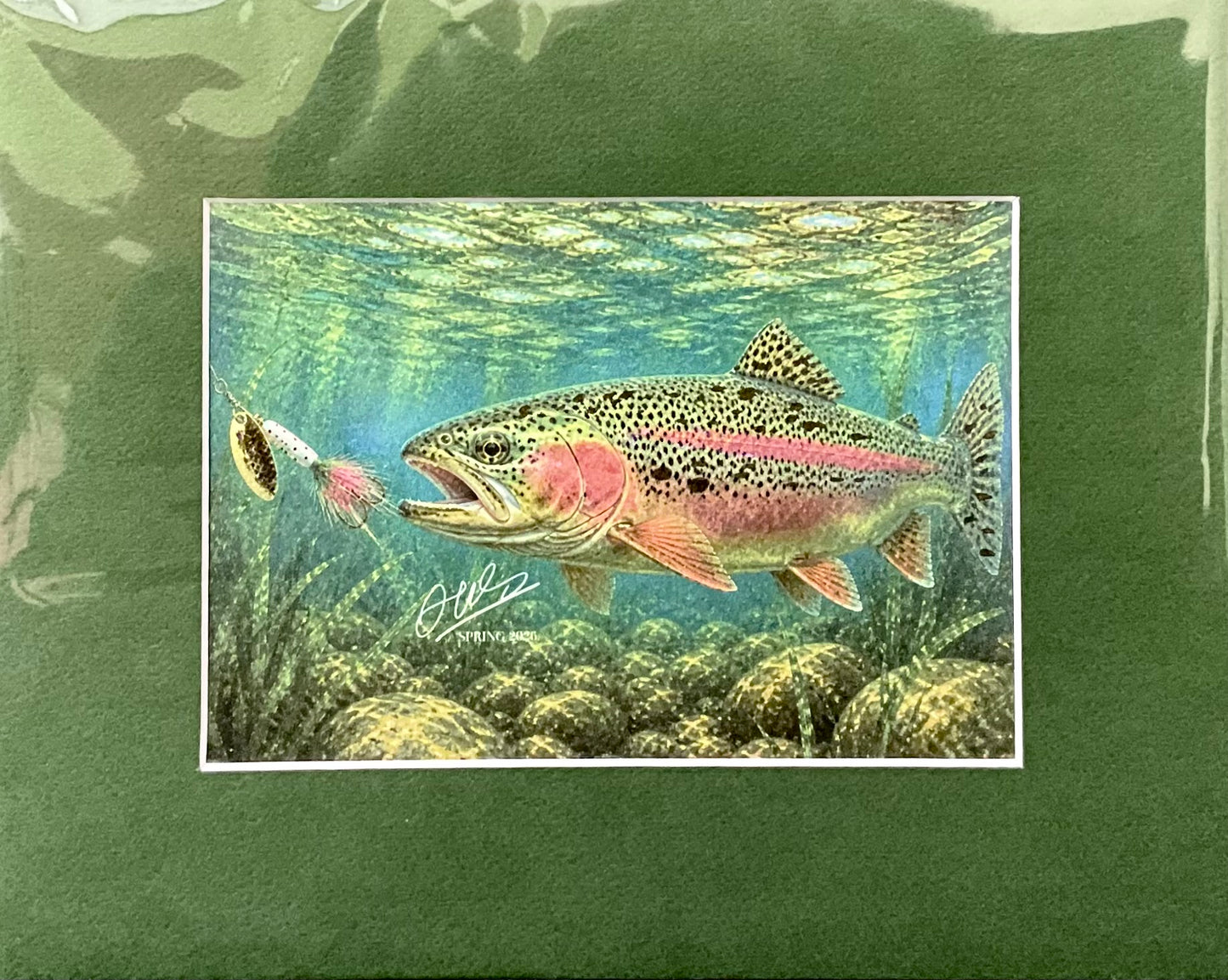 Rainbow Trout Print