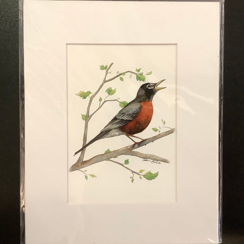 Spring Robin Print