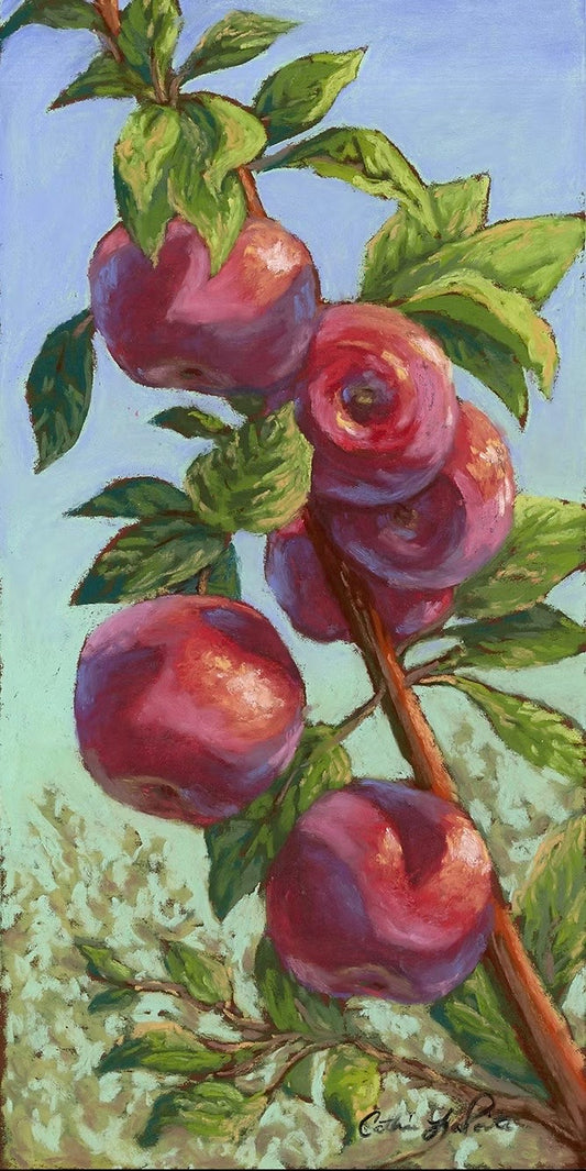 Ripe for the Picking - Original Framed Pastel