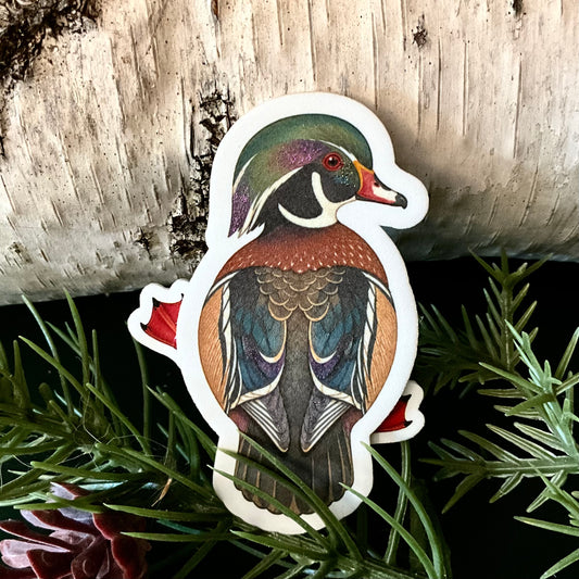 Wood Duck Magnet