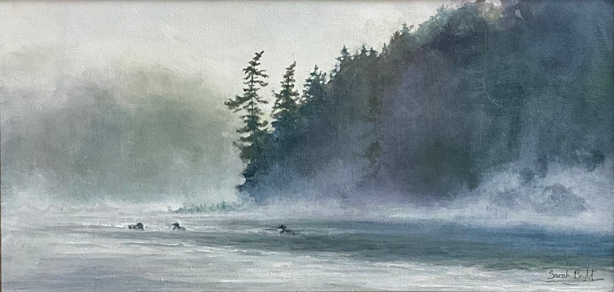 Loons on Misty Water