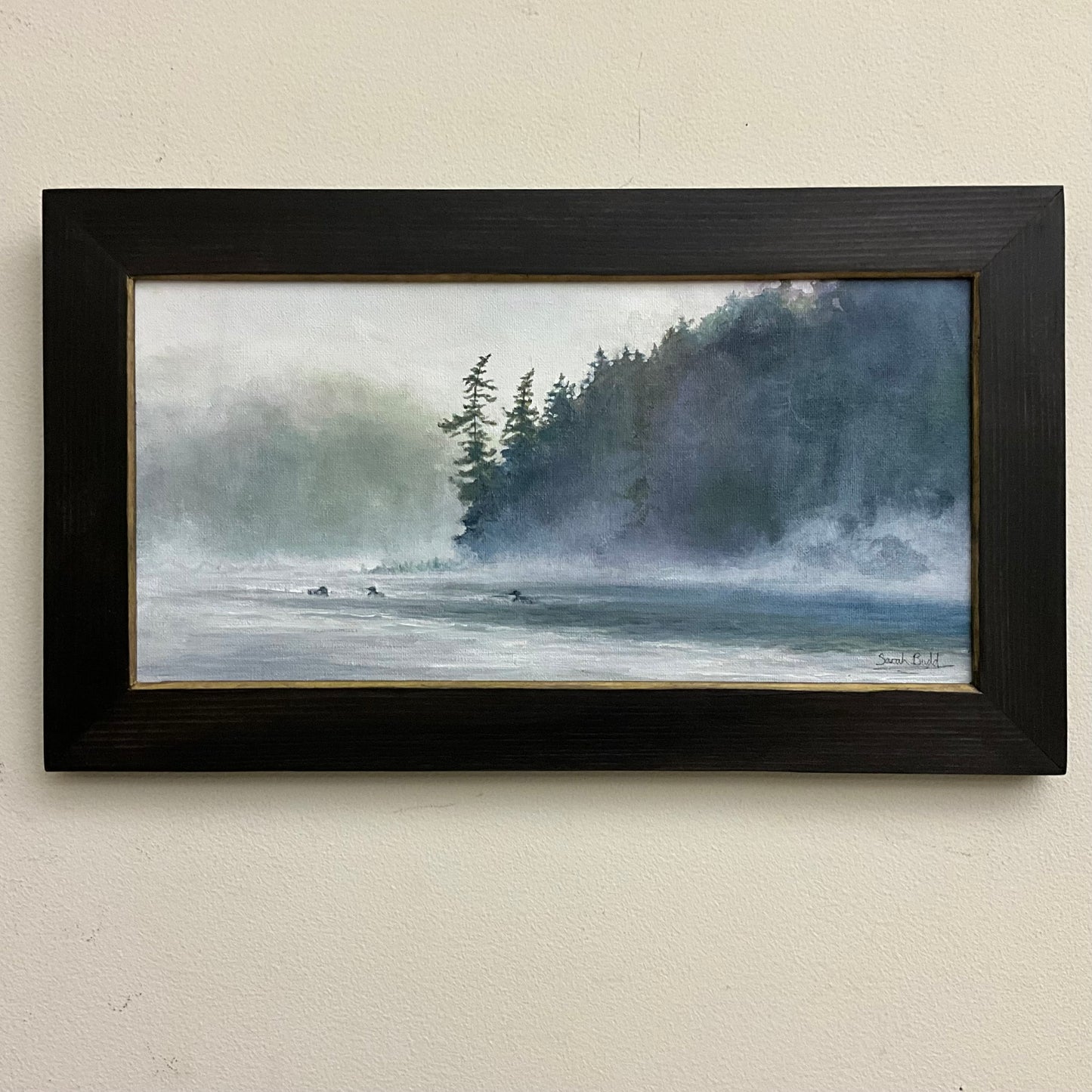 Loons on Misty Water