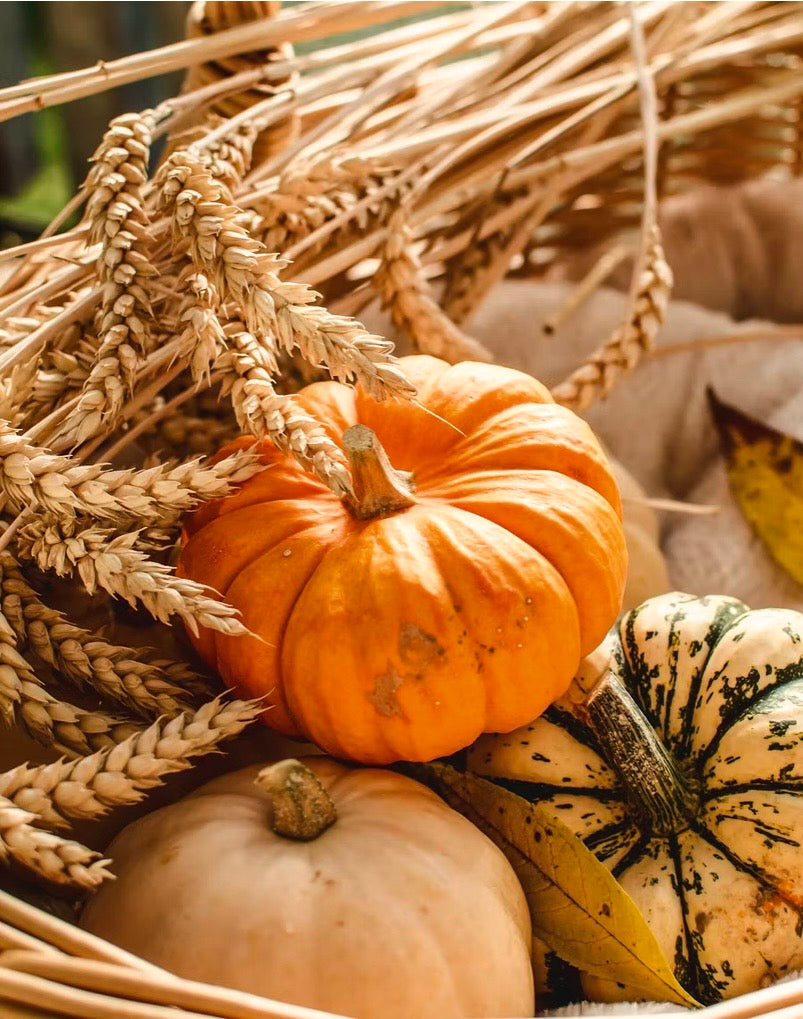 Kitchen Stories: Harvest Dinner, Thursday October 15th,  4pm - 5:30pm The TAUNY Center 53 Main Street Canton