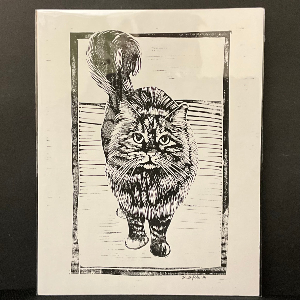 Curious Cat Original Print on white