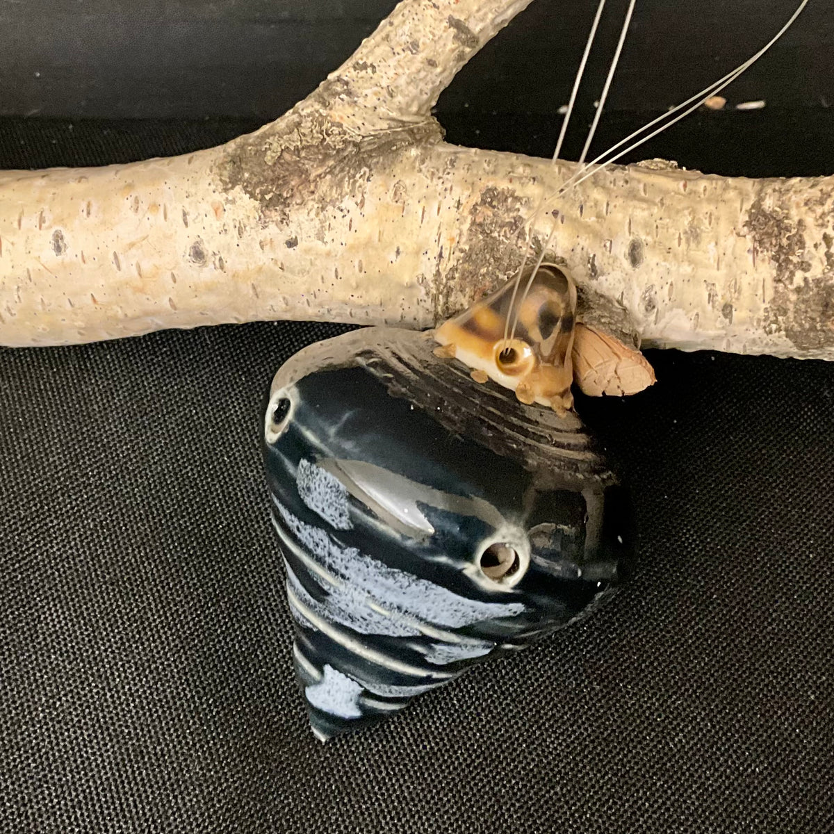 Ceramic “Top” Shaped Ornament in Midnight Blue