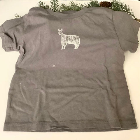 T-Shirt "Petunia" Gray Size 3