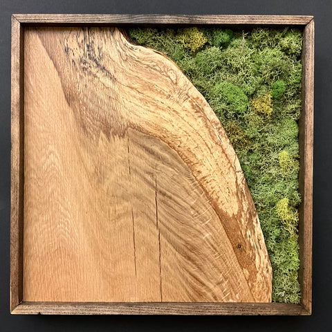 Aerial Forest - framed wall art