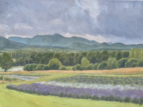 "Lavender View” oil on linen