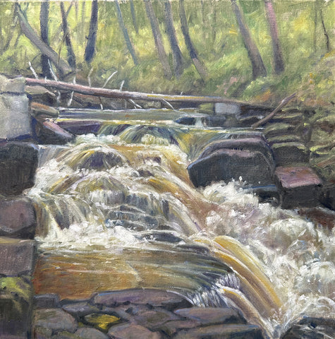 "High Falls Salmon River” oil on linen panel