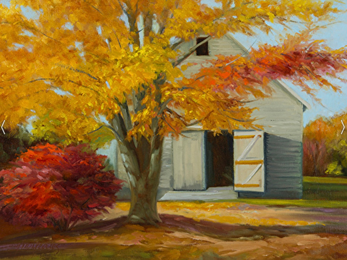 Burning Bush  Notecard