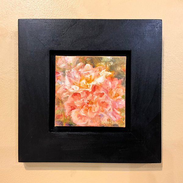 Apricot Blaze - original oil