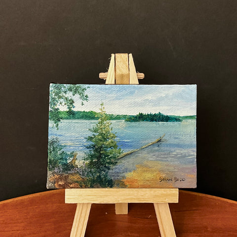 “Follensby at Clear Pond" miniature acrylic on canvas