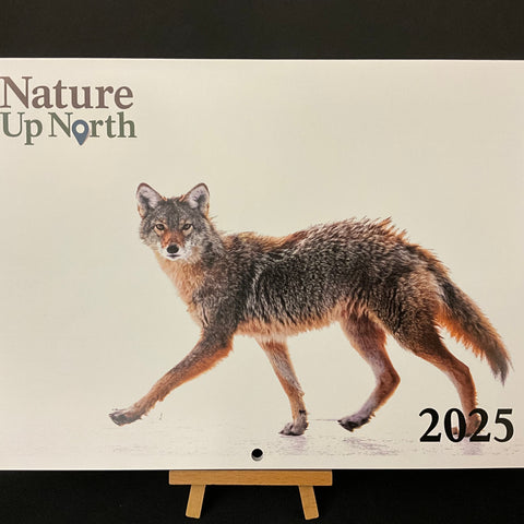 Nature Up North Calendar 2025