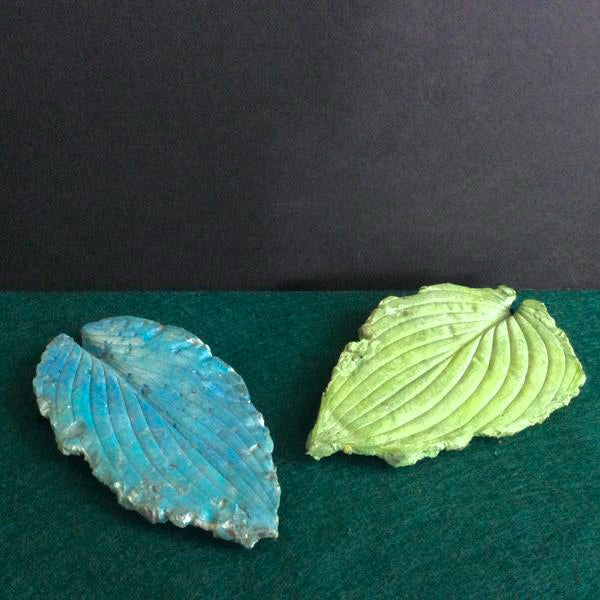 Assorted "Stone" Hosta Leaves