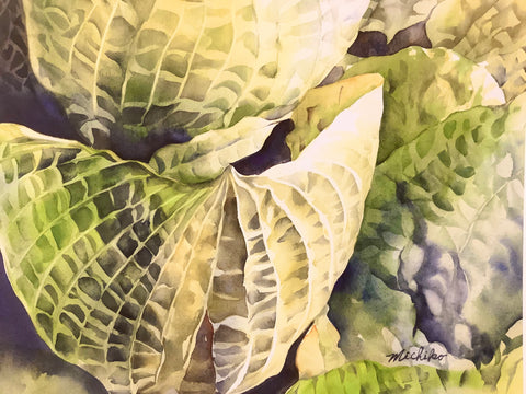 “Nature’s Bowl”, Matted Print from an Original Watercolor