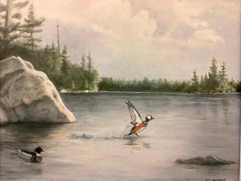 “Mergansers on the Pond” Matted Print from Original Oil, by A.J. Murray, Potsdam, NY