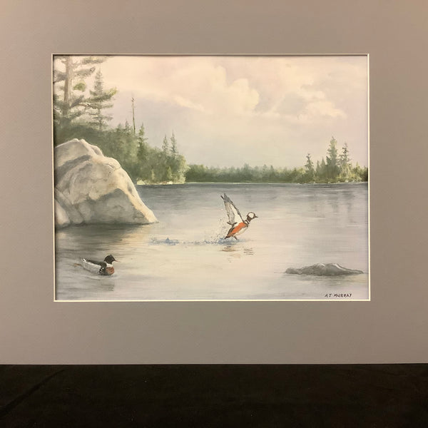 "Mergansers on the Pond"Matted Print from Original Oil