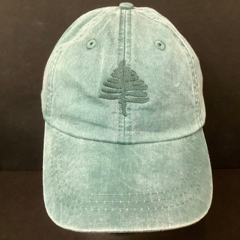 TAUNY Cap Spruce, Great Northern Screen Printing & Embroidery