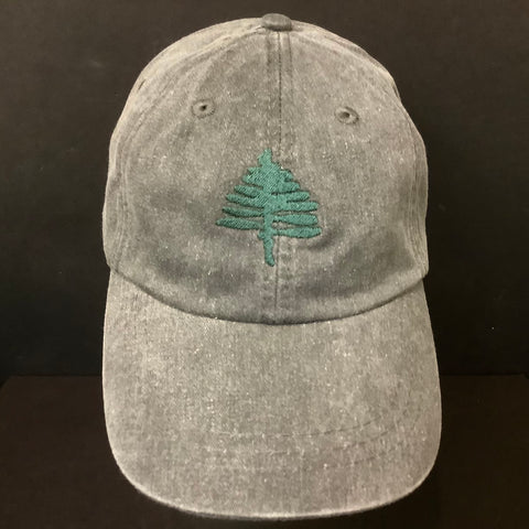 TAUNY Cap Charcoal, Great Northern Screen Printing & Embroidery