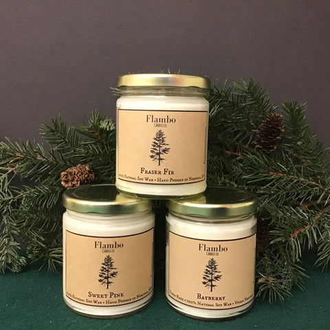 Soy Candles Winter Fragrances