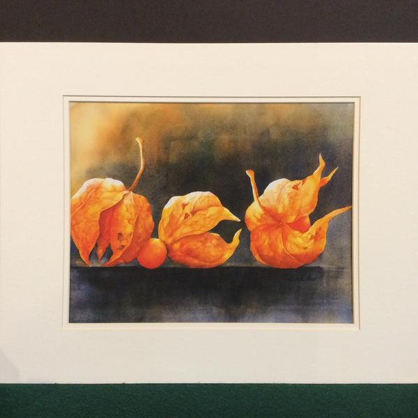 "Chinese Lantern", Framed Print from an Original Watercolor